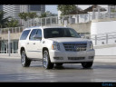 Cadillac Escalade white
